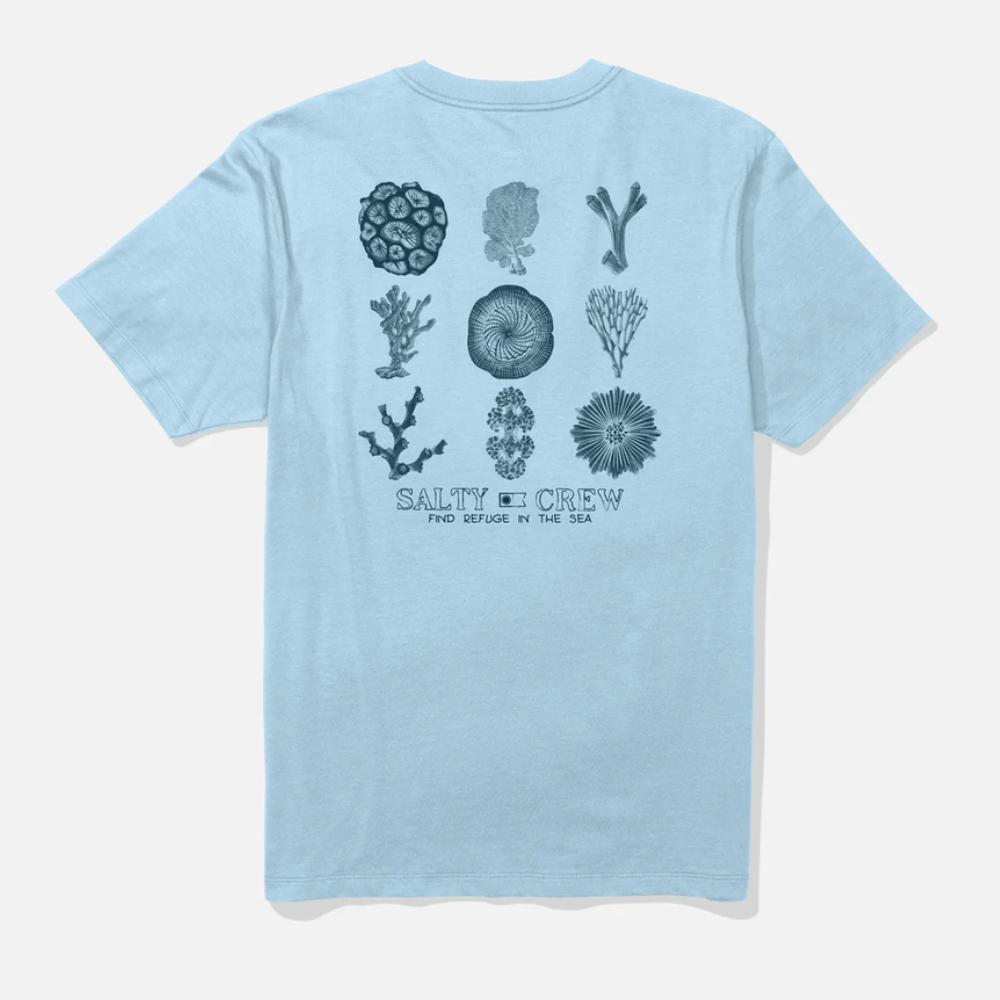 Salty Crew Coral Head Ss Tee - Clear Sky