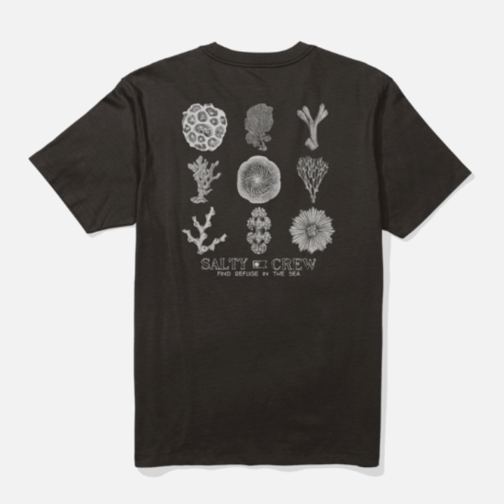 Salty Crew Coral Head Tee - Black
