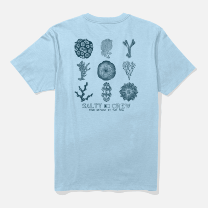 Salty Crew Coral Head Tee - Clear Sky