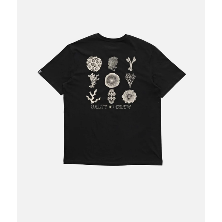 Salty Crew Coral Head Ss Tee - Black