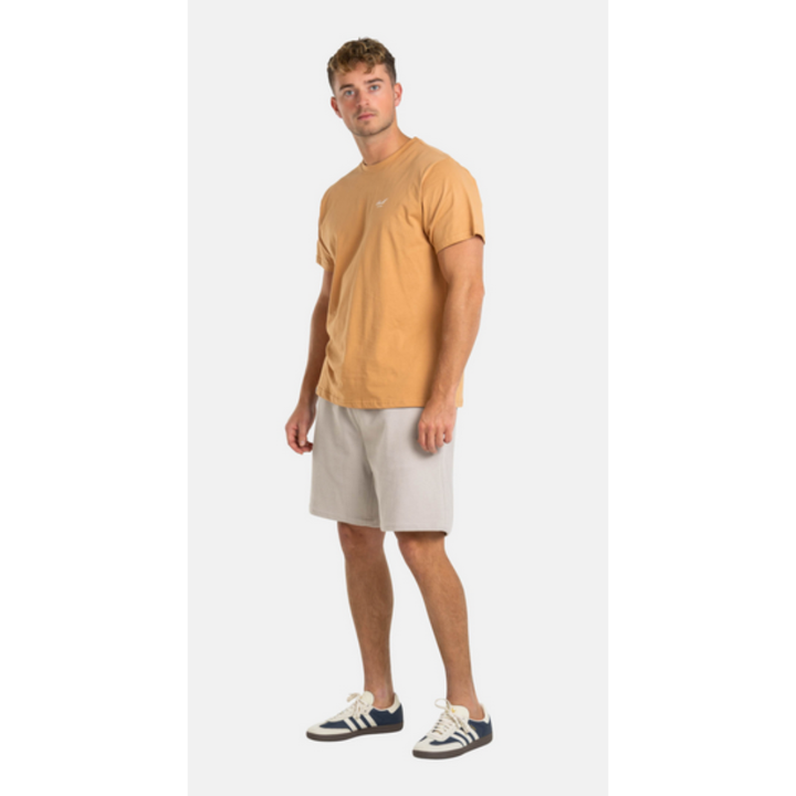 Reell Surface Short - Waffle Sand