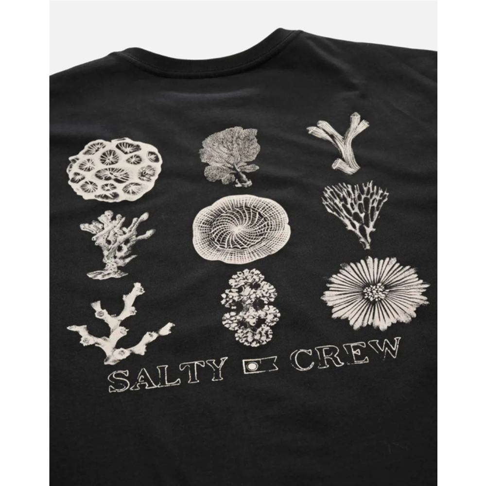 Salty Crew Coral Head Ss Tee - Black
