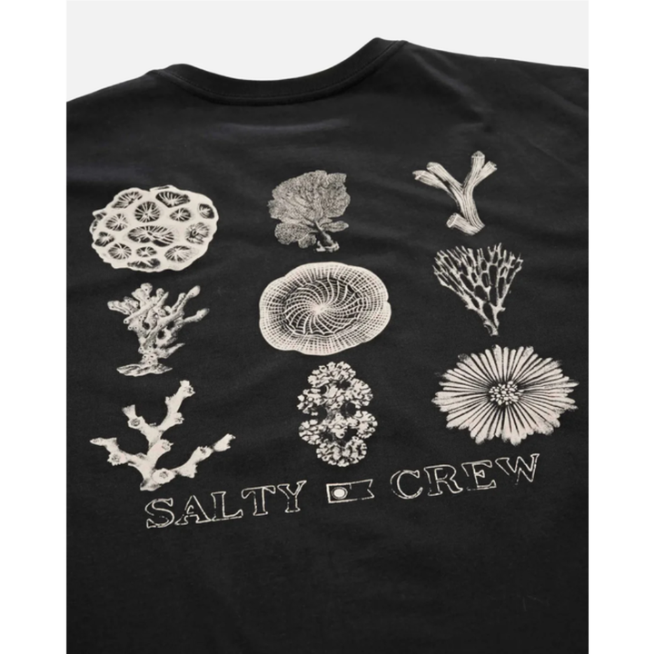 Salty Crew Coral Head Ss Tee - Black