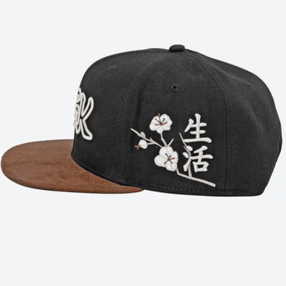 DGK ZionSnapback Cap - Black