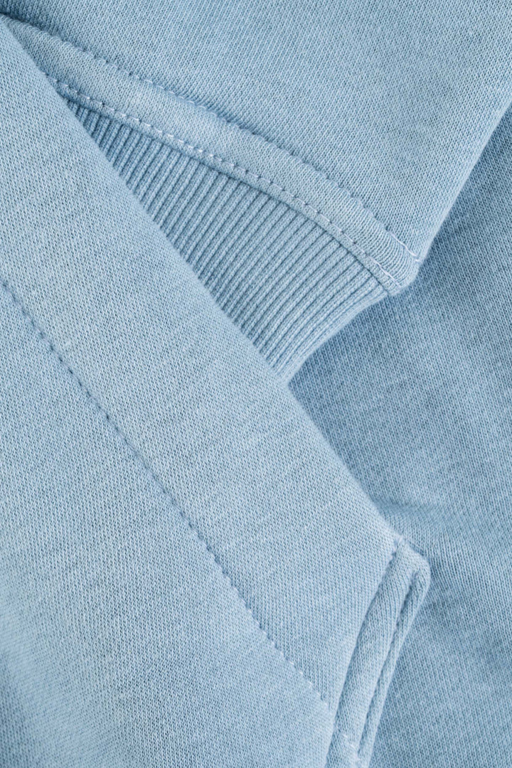 Reell Staple Zip Hoodie Mountain Spring