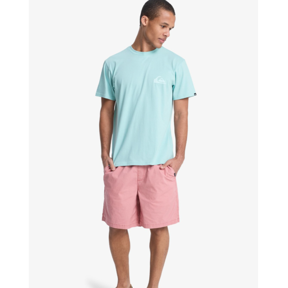 Quicksilver Taxer 19" - Elastische Shorts für Männer -  MKT0 Rose