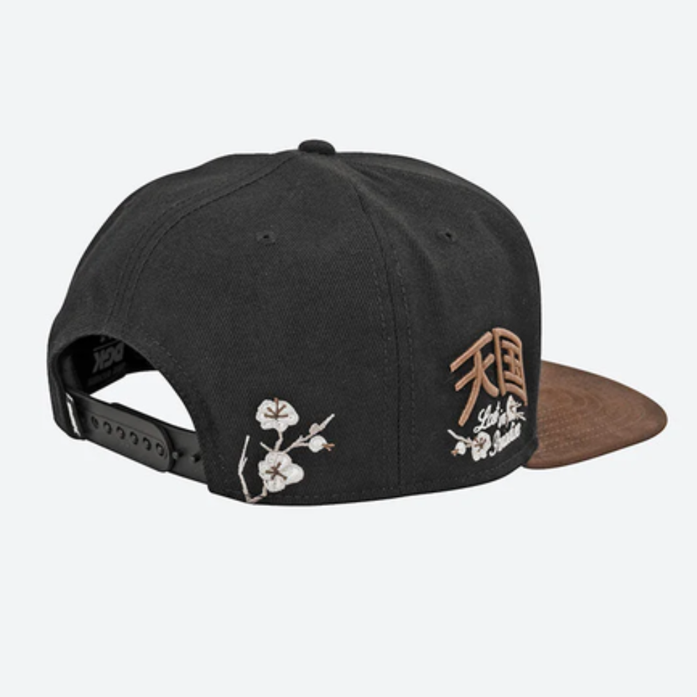 DGK ZionSnapback Cap - Black