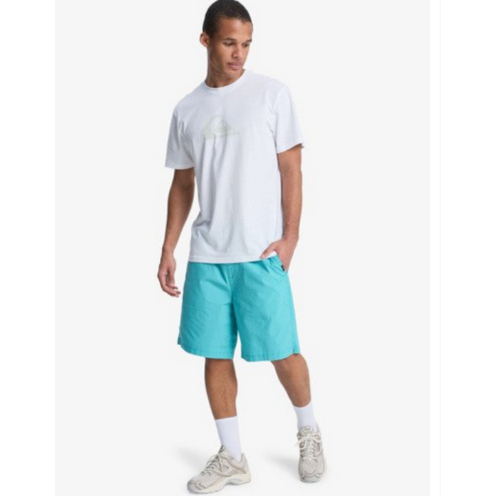 Quiksilver Taxer 19" Short - Blau