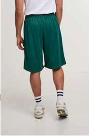 Karl Kani Insig Shad KK INSIGNIA SHADOW PINSTRIPE SOCCER SHORTS - Green