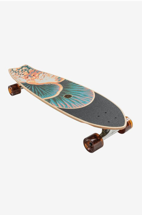 Globe Chromantic 33" Cruiserboard - Bio-Morph