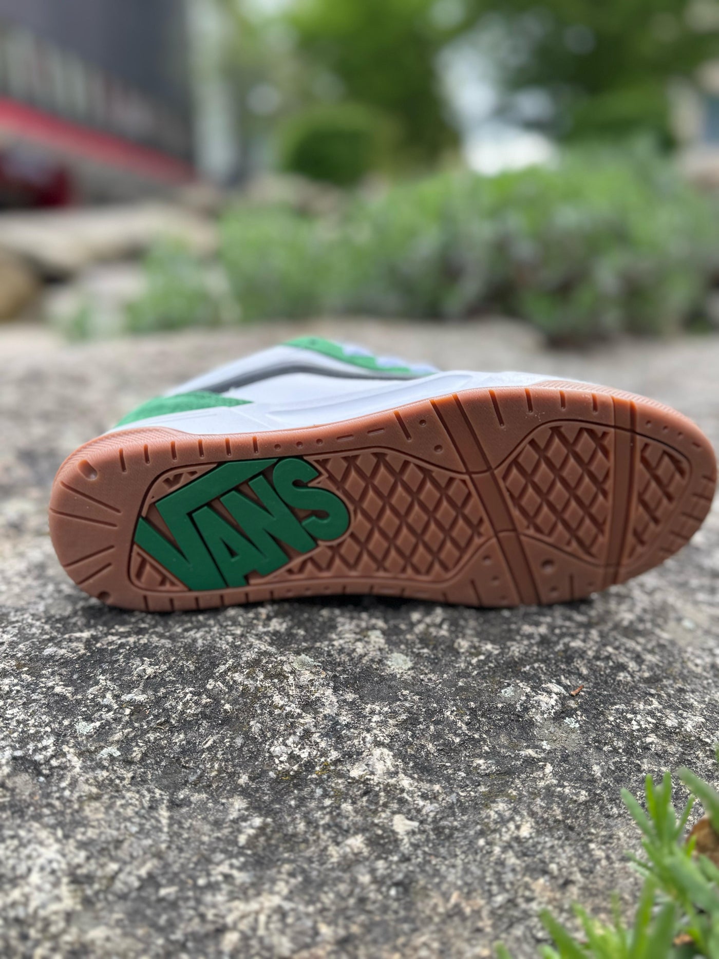 Vans Hylane Shoe - Tri-Tone / Fairway