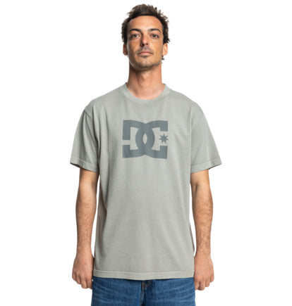 DC Shoes Star Pigment Dye T-Shirt - Moon Mist Enzyme Wash (smaw)