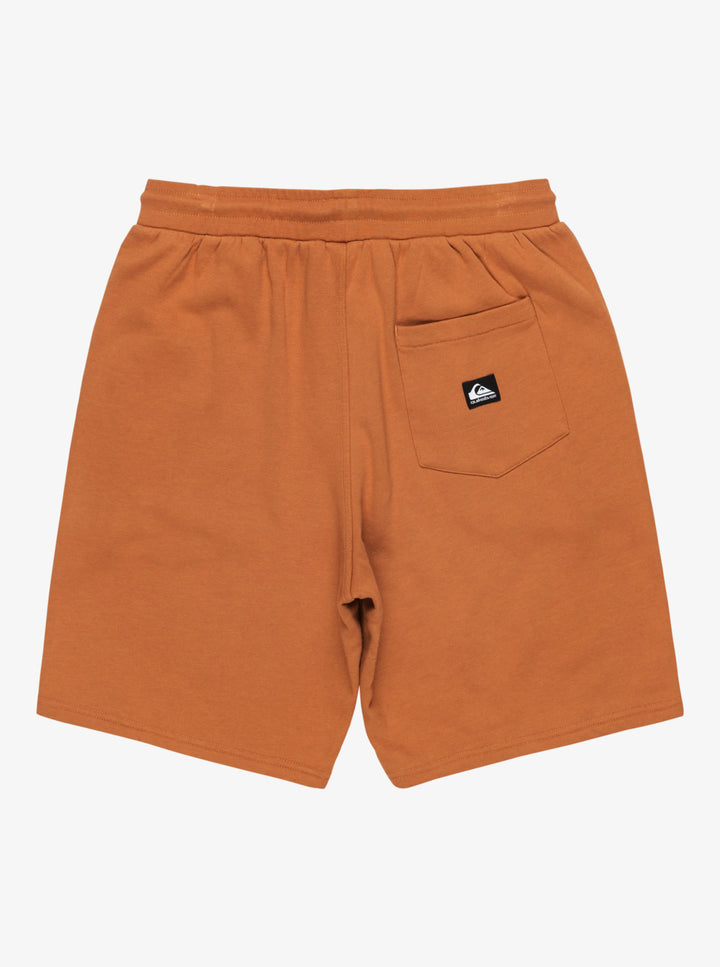 Quicksilver Salt Water - Shorts mit elastischem Bund - cmn0 Orange