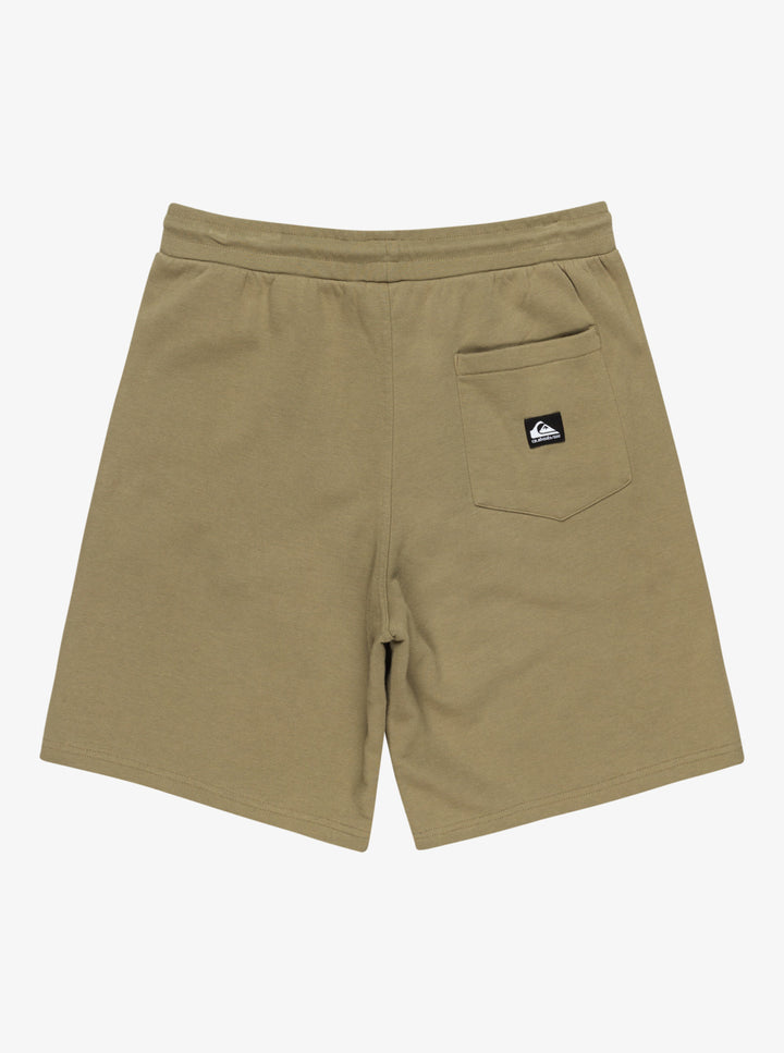 Quicksilver Salt Water - Shorts mit elastischem Bund - tmz0 Olive