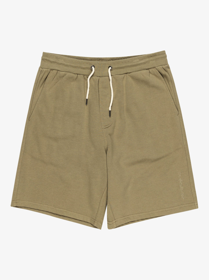 Quicksilver Salt Water - Shorts mit elastischem Bund - tmz0 Olive