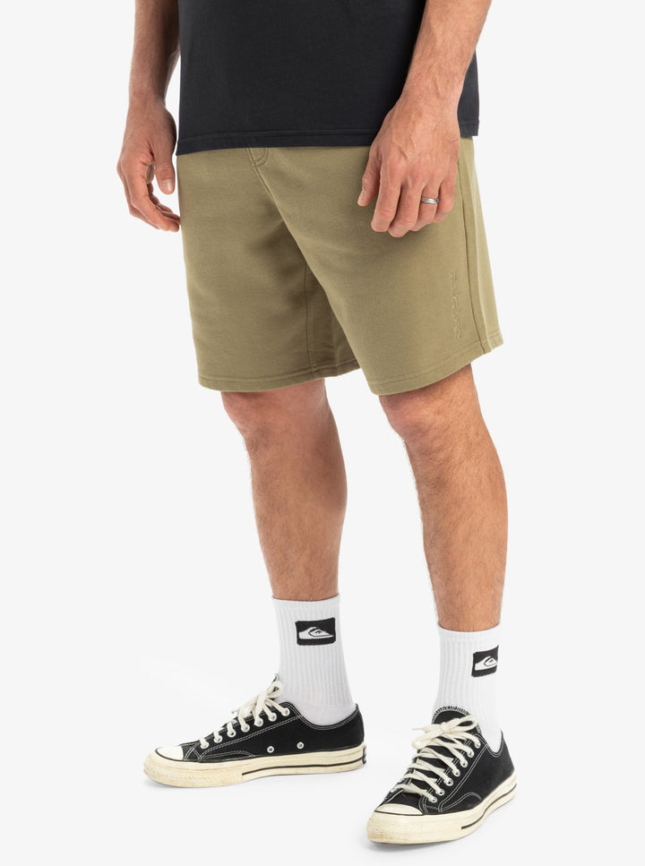 Quicksilver Salt Water - Shorts mit elastischem Bund - tmz0 Olive
