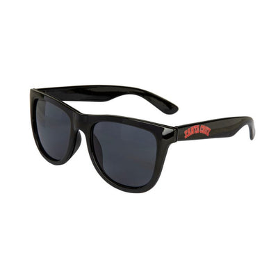 Santa Cruz Collegiate Strip Sunglasses Sonnenbrille - black